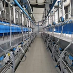 并列式挤奶设备