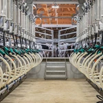 并列式挤奶设备