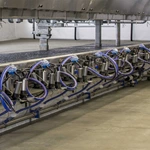 并列式挤奶设备