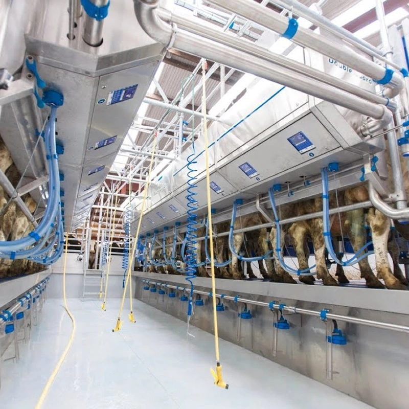 并列式挤奶设备