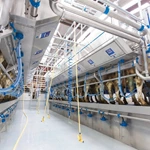 并列式挤奶设备