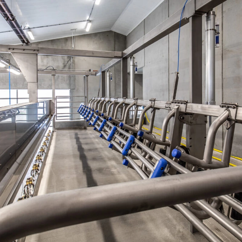 并列式挤奶设备