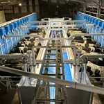 并列式挤奶设备