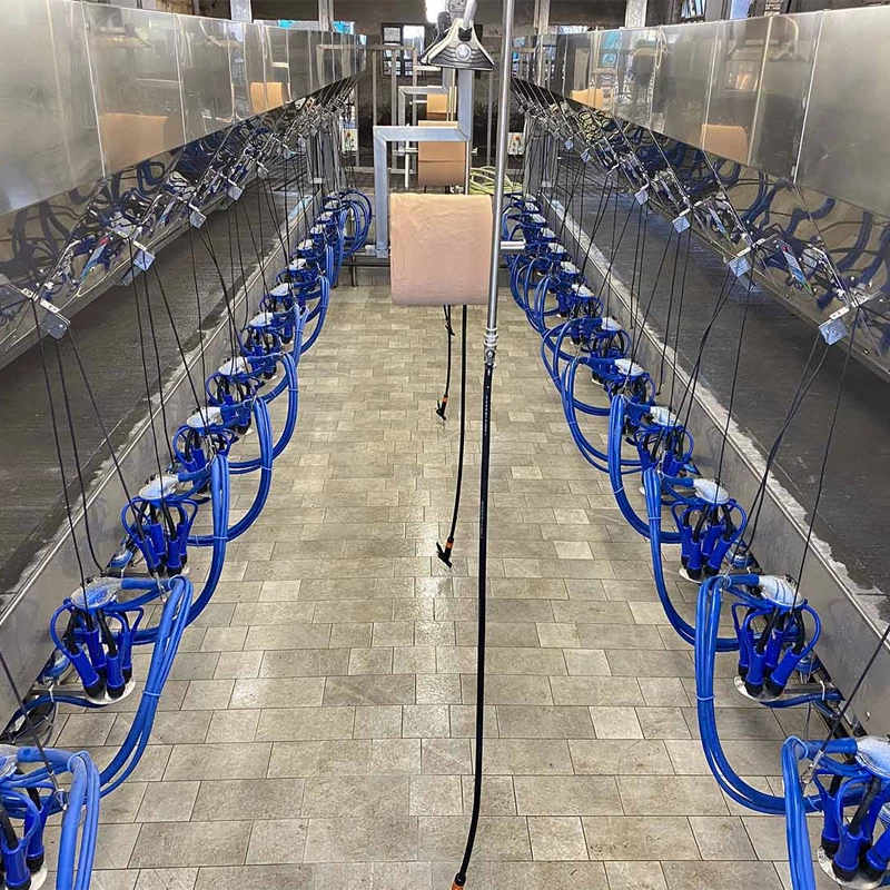 并列式挤奶设备