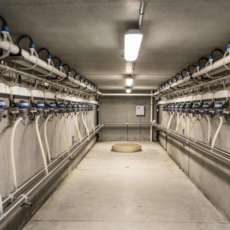 并列式挤奶设备