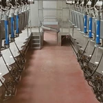 并列式挤奶设备