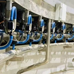 转盘式挤奶设备