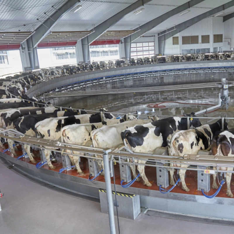 转盘式挤奶设备