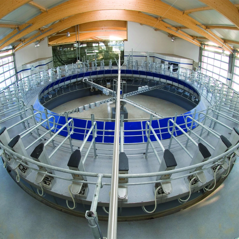 转盘式挤奶设备