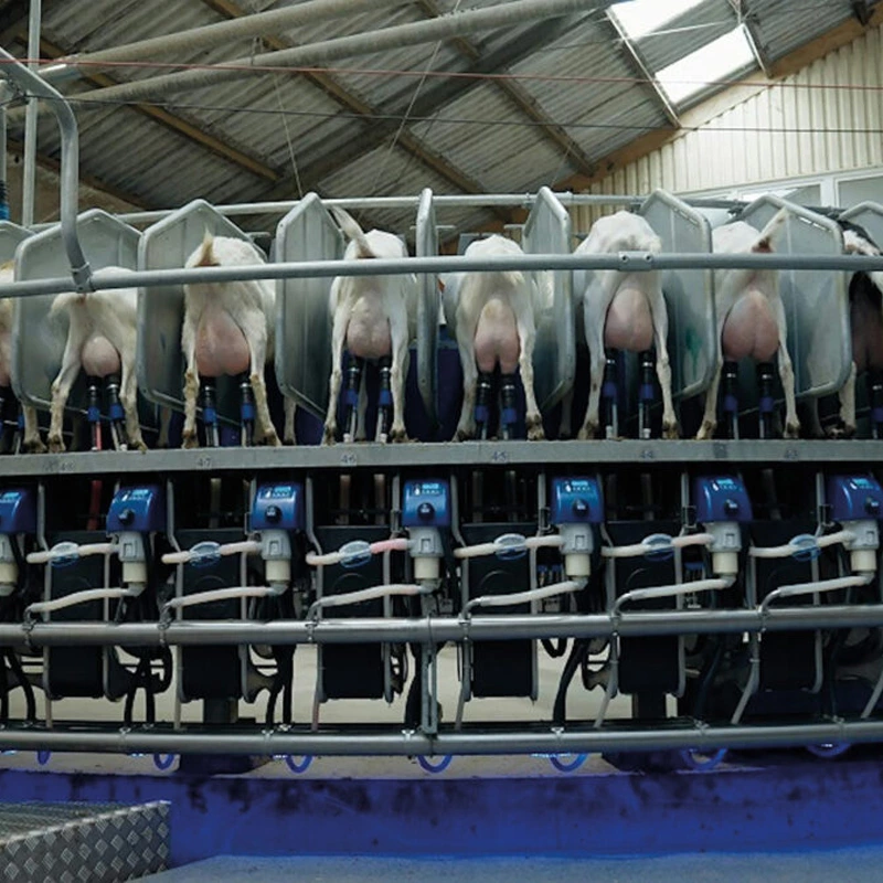 转盘式挤奶设备