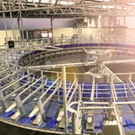 转盘式挤奶设备