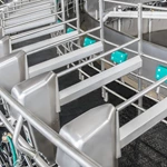 转盘式挤奶设备