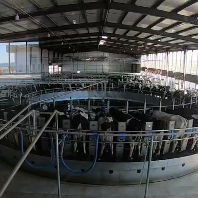 转盘式挤奶设备