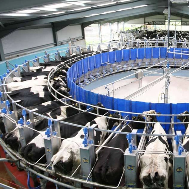 转盘式挤奶设备